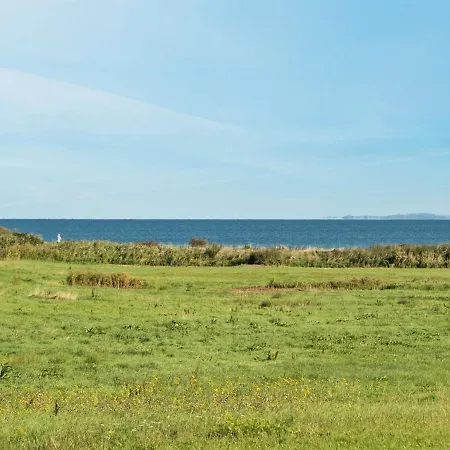 Alexis - 250m From The Sea By Interhome Holiday home